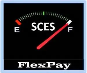 A gas gauge with the word " flexpay " below it.